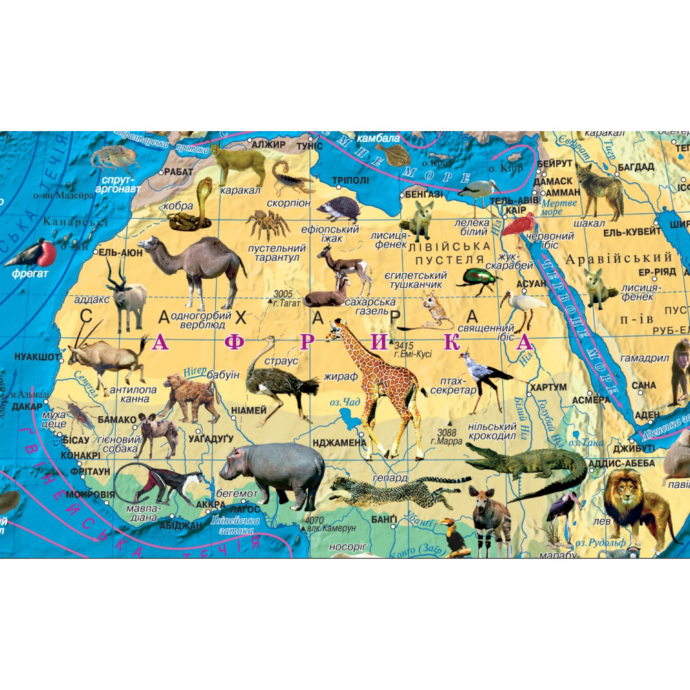 World animal map 65x45 cm M 1:54 500 000 cardboard (4820114954343)